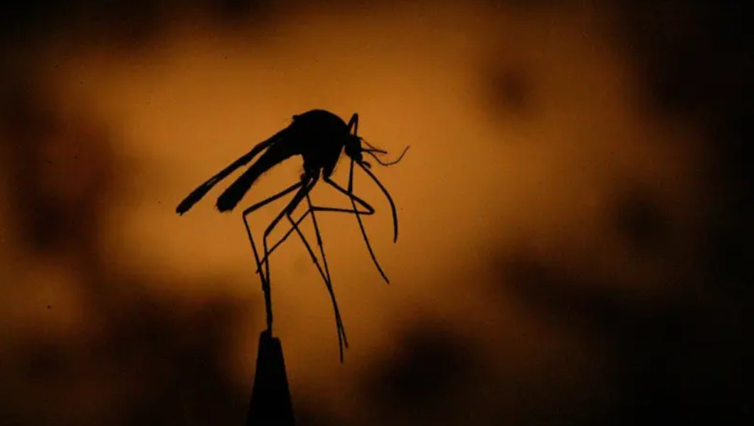 Sida, tuberculose et paludisme : le Fonds mondial réduit son financement en raison de la mauvaise gestion | Crédit photo : GETTY IMAGES
