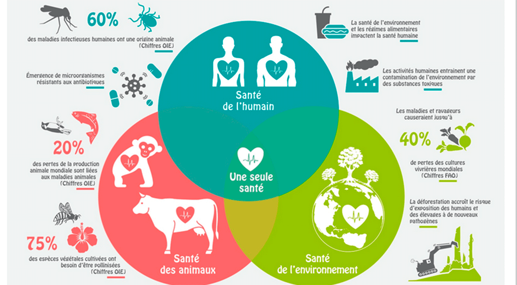 «  One health »  pour relever  les défis de la résistance antimicrobienne dans la zone Afrique